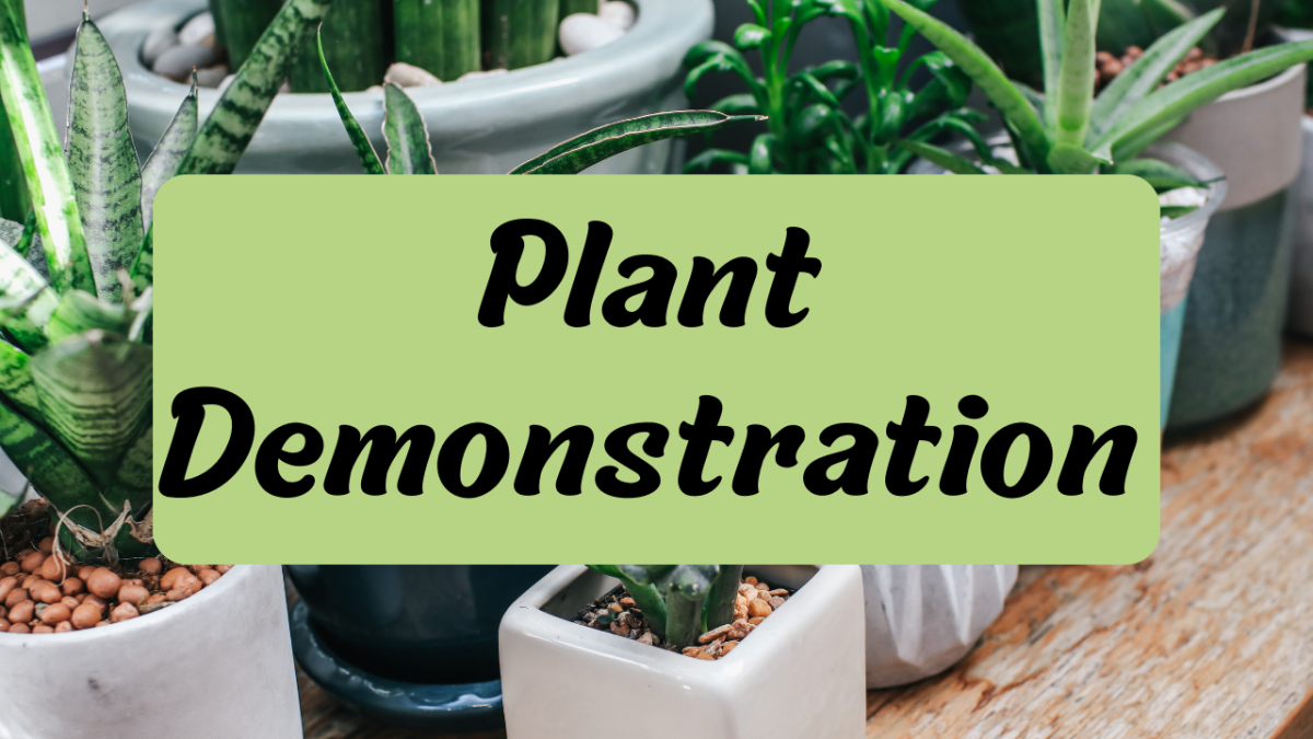 Plants with text plant demonstration